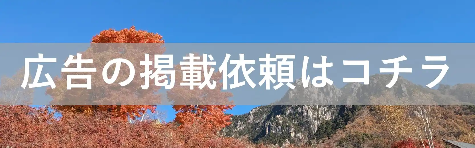 広告募集の広告